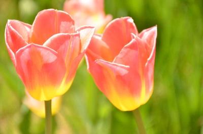 仙侠传说3.0 仙侠传说3.0